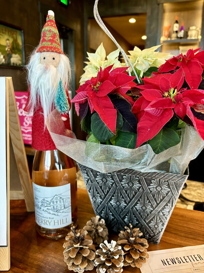 Sparkling Merlot Rosé, Monarch Tempranillo, and holiday charm at Kerry Hill.