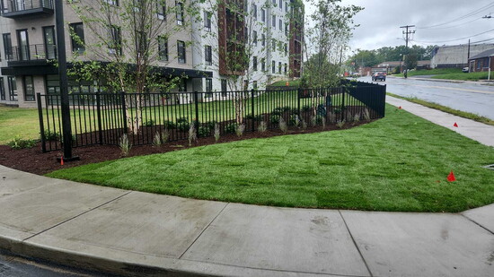 A commercial landscape installed by M&G Landscaping
