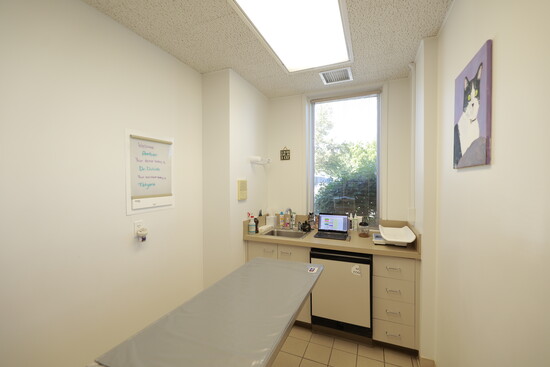 The Gentle Vet keeps a 'cat only" designated exam room
