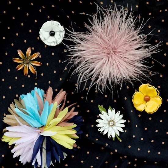 Colleen Canale's pin and brooch collection.