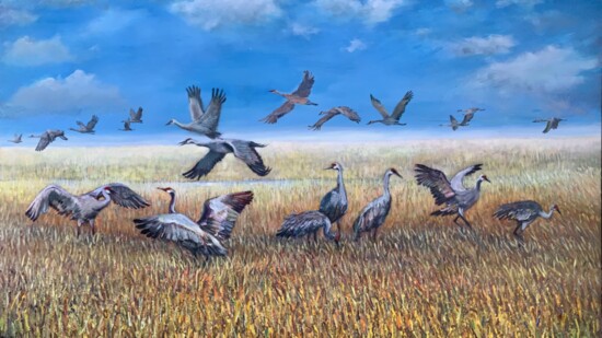 "Sandhill Cranes" by Loren Bartnicke