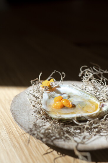 Oyster with sea buckthorn minonette