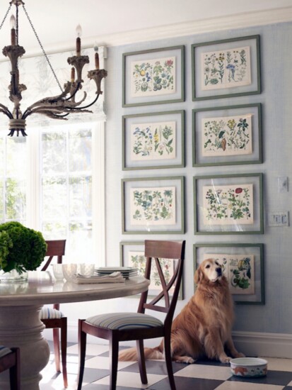 Example of a Grid Style Gallery using antique botanical prints. Photo by Stacy Bass, Design by Susan Heidenberg Interiors.