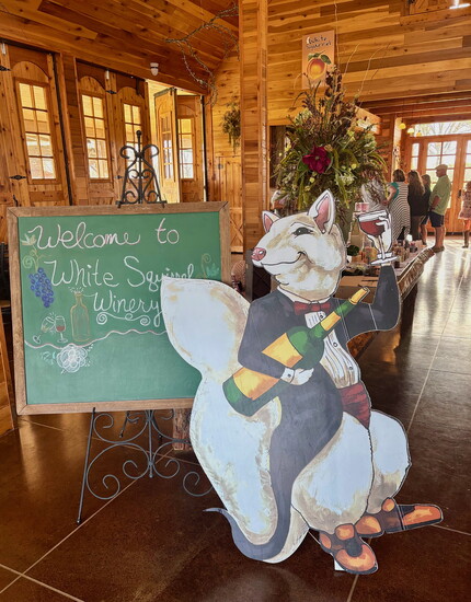 White Squirrel Winery tasting room.