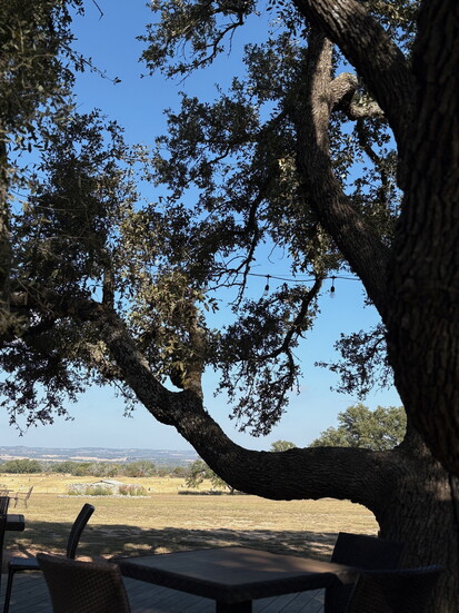 Pedernales Cellars in the heart of Texas wine country.