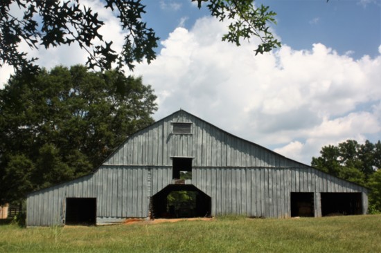 His barn was built between 1880 and early 1900s and was the main structure supporting up to 150 cattle at a time. 