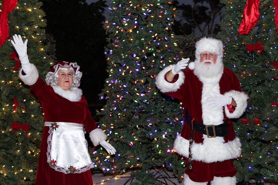 The Annual Tree Lighting Ceremony in Bayshore Hosted by The Bayshore District
