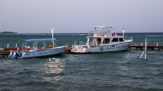 Dive Boats at Blackbird Caye Resort