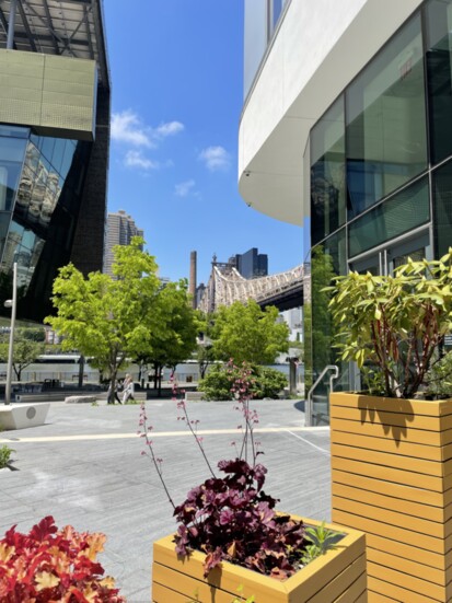 The patio at The Graduate Hotel, Roosevelt Island, on the campus with Cornell Tech.