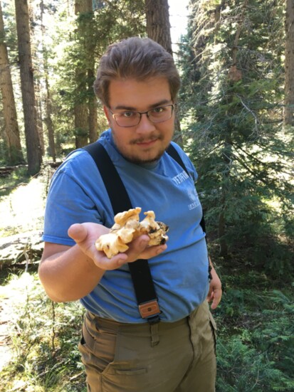 Griffon Willmorth offers up a handful of chanterelle mushrooms (Cantharellus roseocanus) found this fall in McCall. 