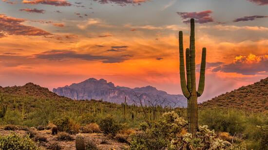Featured image for The Case for Getting Outside