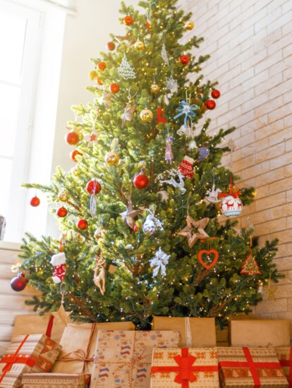 The modern tradition of indoor Christmas trees began in Germany during the 16th century.