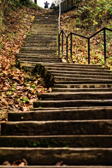 Forbes Creek Stairs