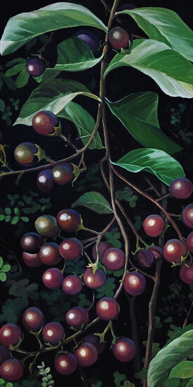 Bittersweet, acrylic, 24" x 48"