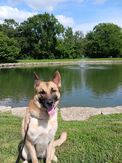 Lea McKeighan Park in Lee's Summit