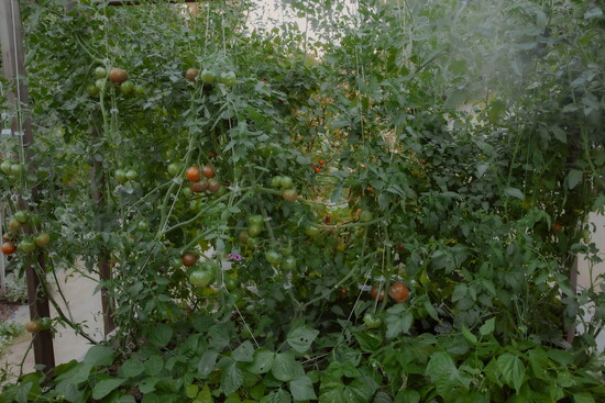Photo 8 of 10