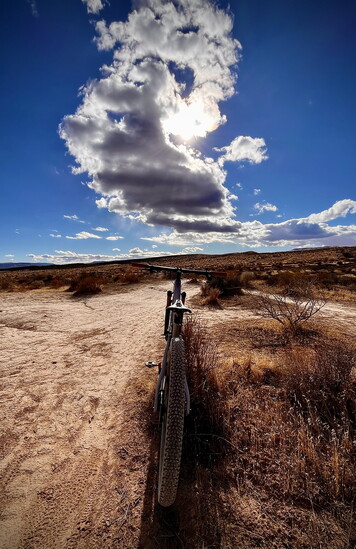 Bearclaw Poppy Trail