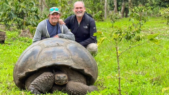 Visiting the gigantic tortoises on Santa Cruz