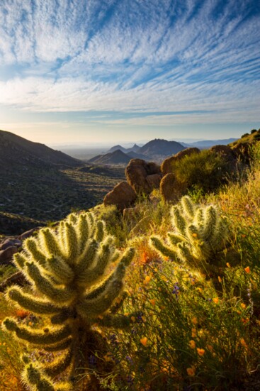 The challenging Tom's Thumb Trail offers great Sonoran desert views.