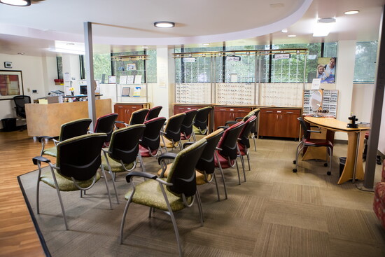 The Georgia Lions Lighthouse Foundation has a facility in Chamblee and serves the state of Georgia.