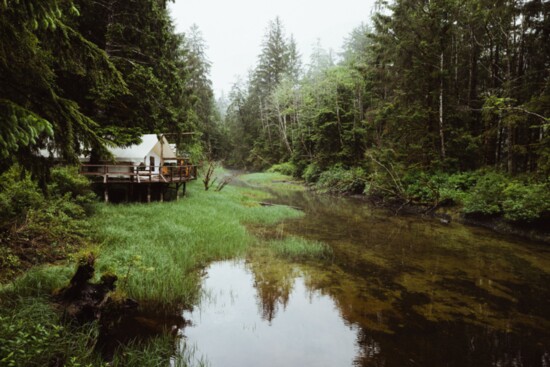 Clayoquot Wilderness Lodge