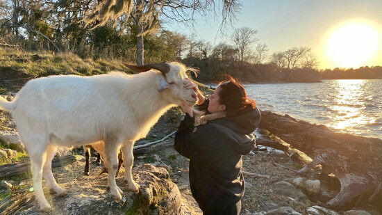 Jennifer Staples shares a quiet sunset moment with Rocky, Goat Island billy, along the shoreline in Trinity.