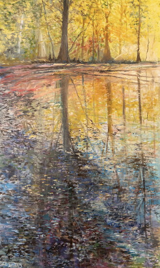 Cypress Sunrise - 36" x 60" - oil on canvas
