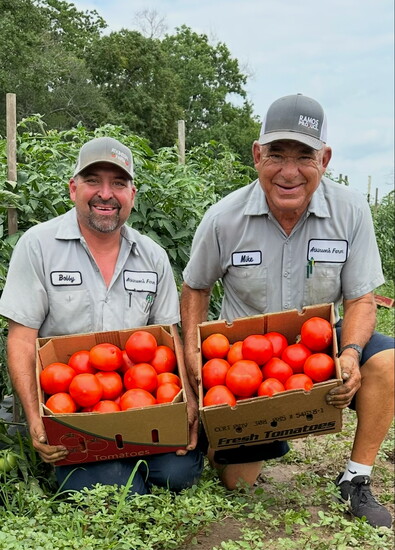 Atkinson and his son Bobby with boxes of fresh tomatoes for market.