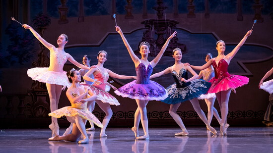 Emerald Ballet Theatre. Photography by Gaby Cavalcanti Photography