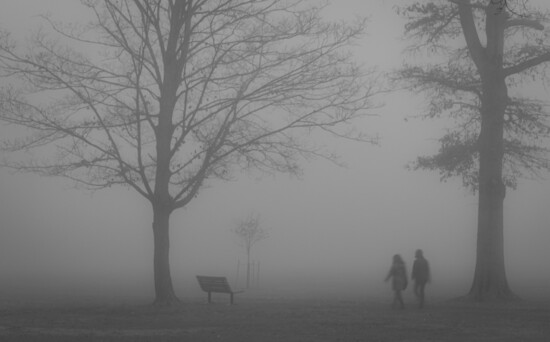 Foggy morning walk at Natirar