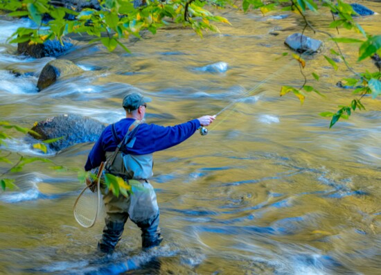 Fly fishing in the North Branch of the Raritan River, Far Hills