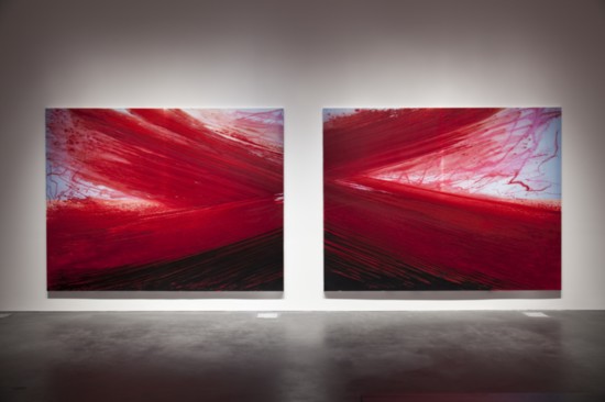 Barnaby Furnas "Red Sea" |  Photo credit: Grant Leighton