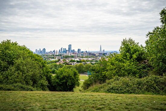 Parliament Hill in Hampstead Heath.