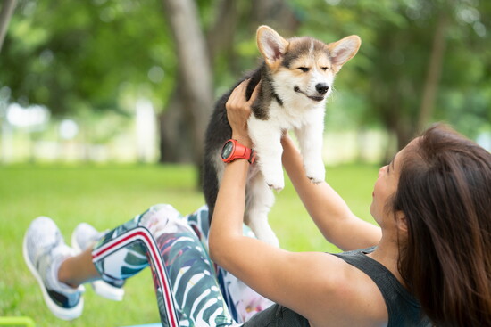 Puppies & Yoga 