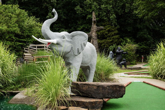 Gator Golf