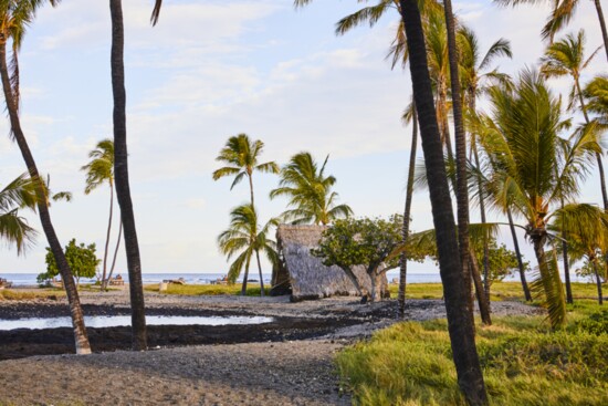 Ponds at Mauna Lani, Photo by Nicole Franzen