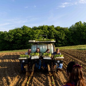 The Last Tobacco Farms of Missouri