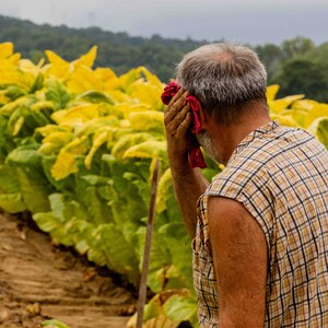 tobacco road farm lebanon ct No-Till Vegetable Culture Thrives at Tobacco Road Farm