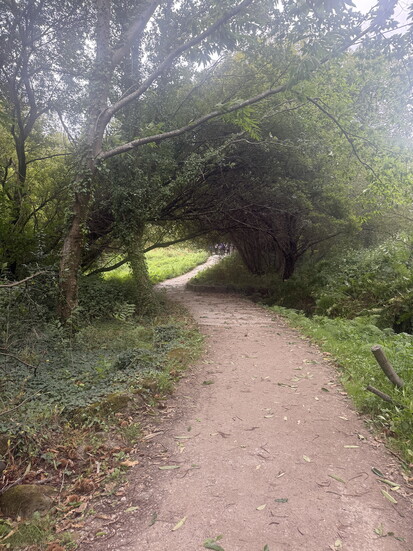 Photo 4 of 7