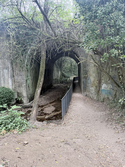Photo 6 of 7