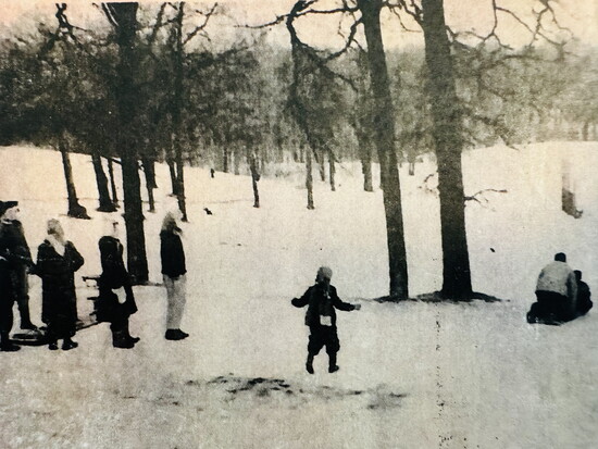 A group of tobogganers - 1955 enjoy a snowy day at Veteran Acres