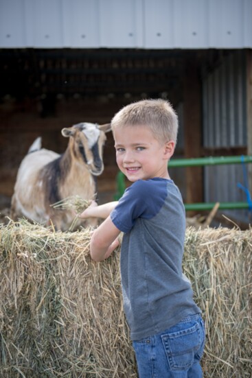 Learning to feed the goats 