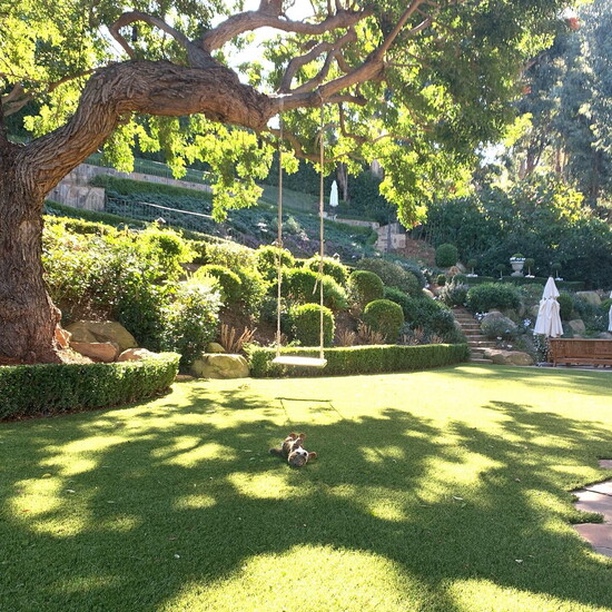 A picturesque yard covered in Cocoturf