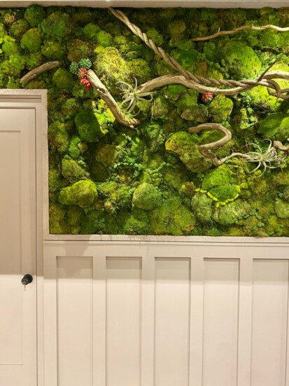 A moss wall installation