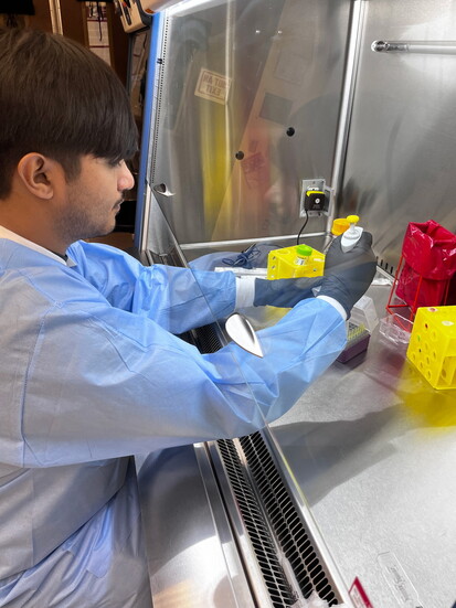 Jeovani Carillo working in a biological safety cabinet (BSC) with his cultured mouse fibroblast cells.
