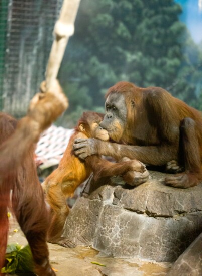 Markisa & Kemala (photo by Susannah Baudhuin)