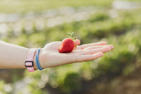 Photo by Amanda Brush Photography