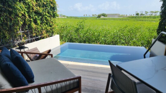 A plunge pool at the St. Regis Kanai in the Riviera Maya Mexico.