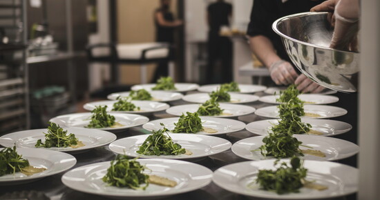 Dish by Green Zebra