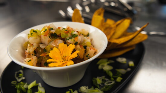 Dish by Green Zebra